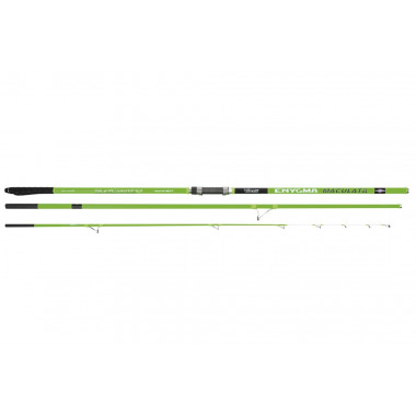 Modelo Caña Vercelli ENYGMA MACULATA