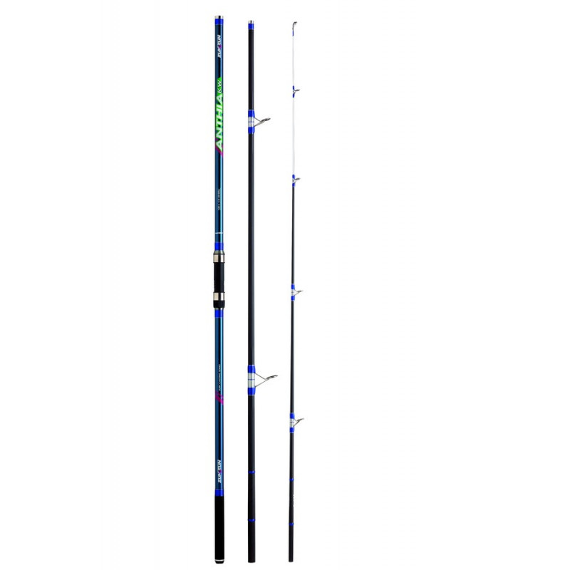 01 ANTHIA KW_alta.jpg